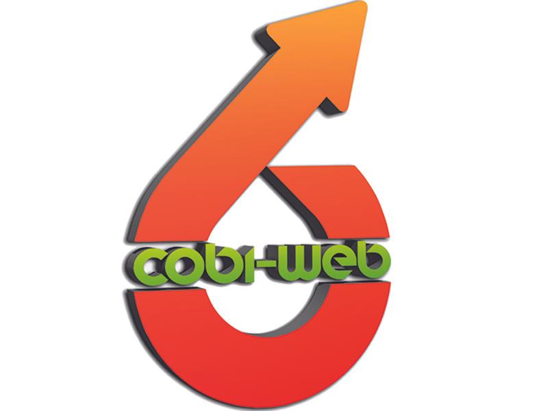 photo de profil du designer CobiWeb