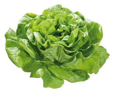 foto de perfil del diseñador Salade