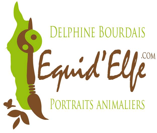 photo de profil du designer equidelfe