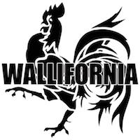 photo de profil du designer Wallifornia