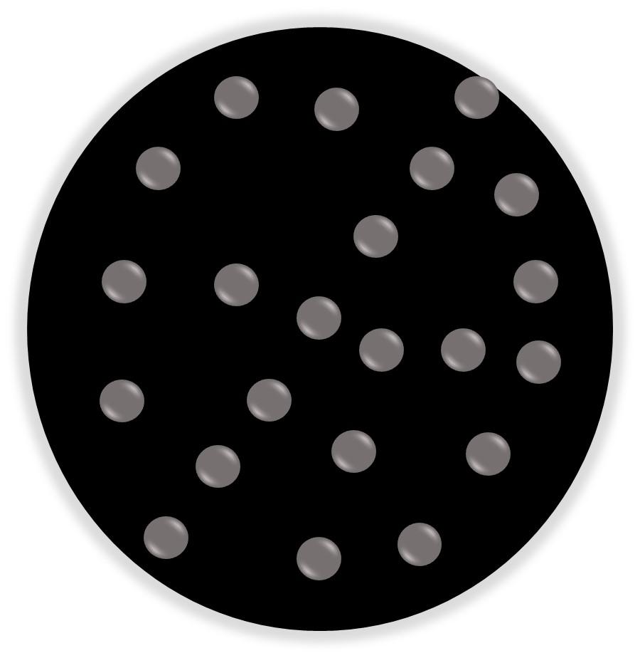 photo de profil du designer Frizzante