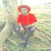 photo de profil du designer elvis