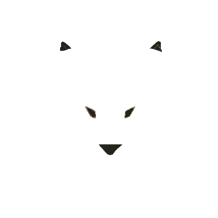 photo de profil du designer Foxlinestyle