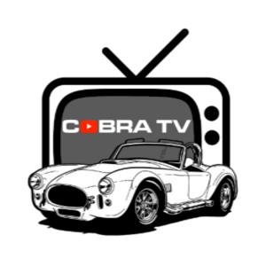 photo de profil du designer COBRA TV
