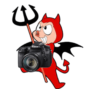 photo de profil du designer PicsSports