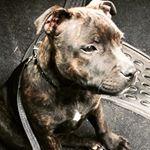photo de profil du designer Lamberti-Design