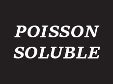 photo de profil du designer Poisson Soluble