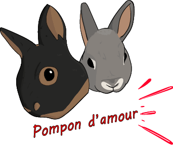 photo de profil du designer Kaliart