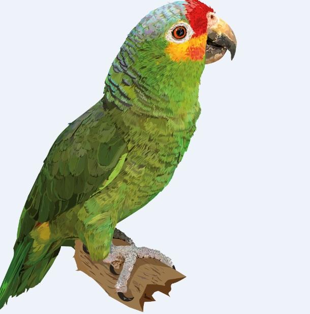 photo de profil du designer LunaTuna