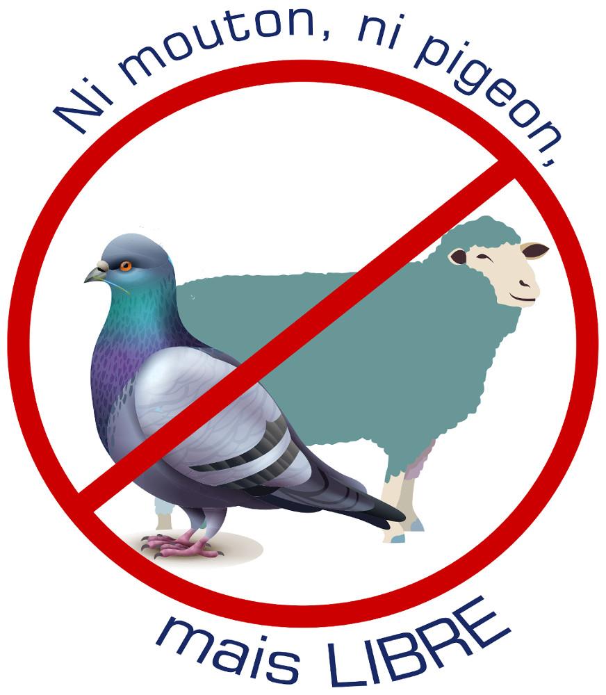 photo de profil du designer nimoutonnipigeon