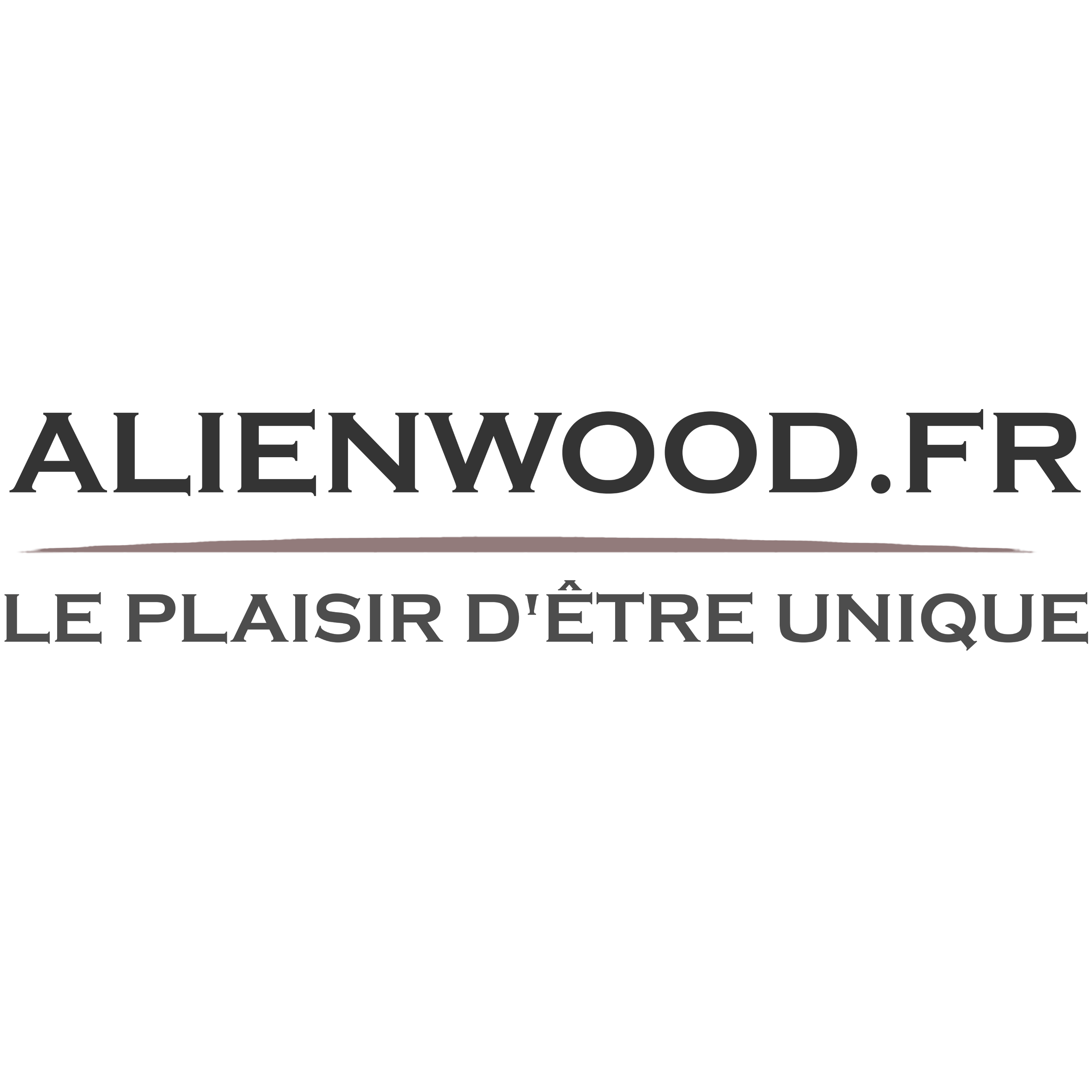 photo de profil du designer ALIENWOOD.FR