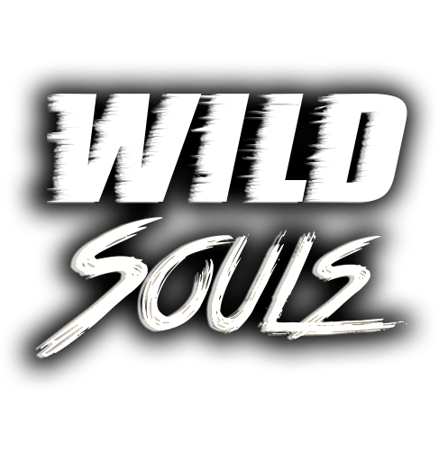photo de profil du designer WILD SOULS ORIGINAL