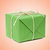 photo de profil du designer The_Green_Packet