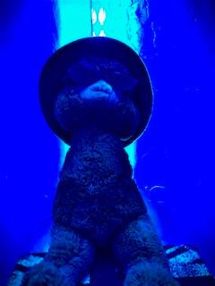 photo de profil du designer Vraiment.rient