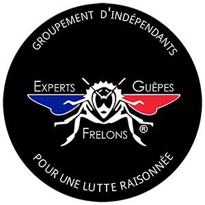 photo de profil du designer ExpertsGF