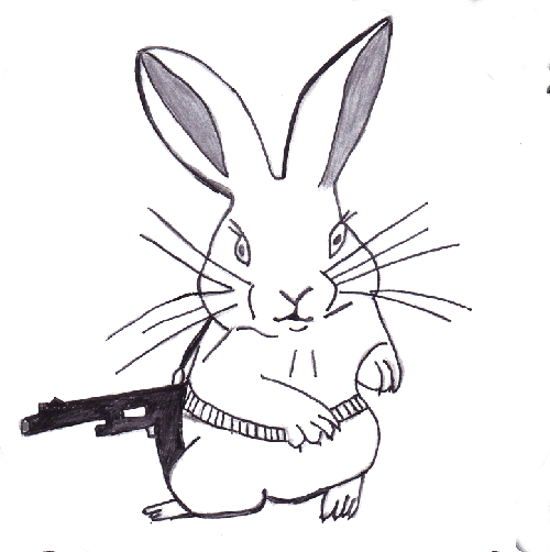 photo de profil du designer Anti Chasse