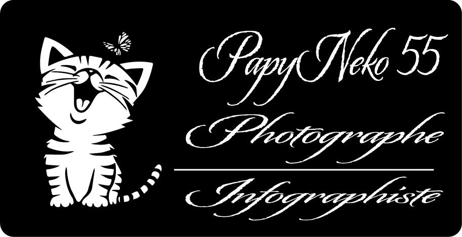 photo de profil du designer Artemis French design