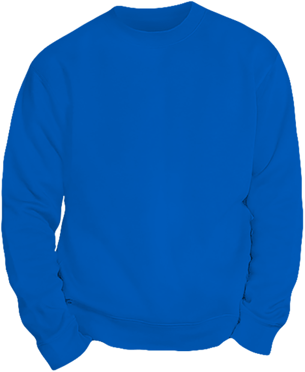 06g sweat lourd homme col rond face Light Royal Blue