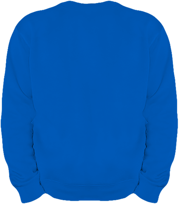 06g sweat lourd homme col rond dos Light Royal Blue