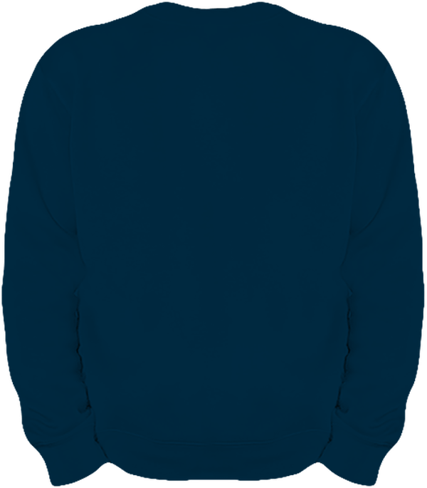 06g sweat lourd homme col rond dos Navy