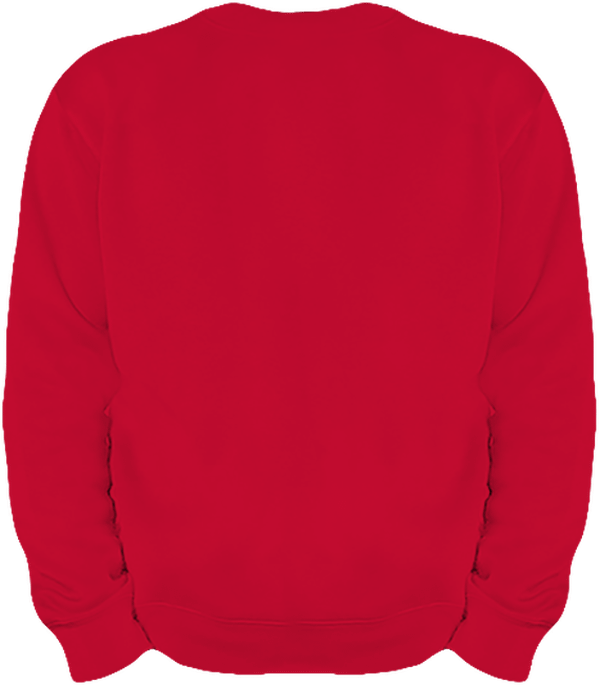 06g sweat lourd homme col rond dos Red