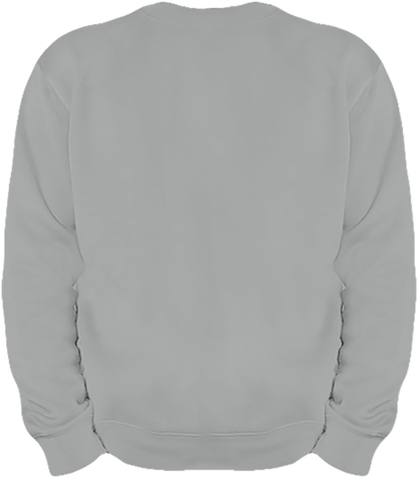 06g sweat lourd homme col rond dos Oxford Grey