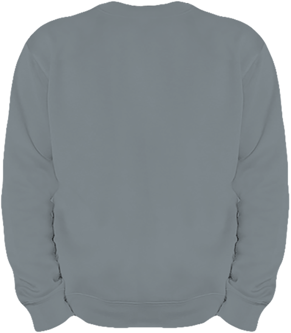 06g sweat lourd homme col rond dos Dark Grey