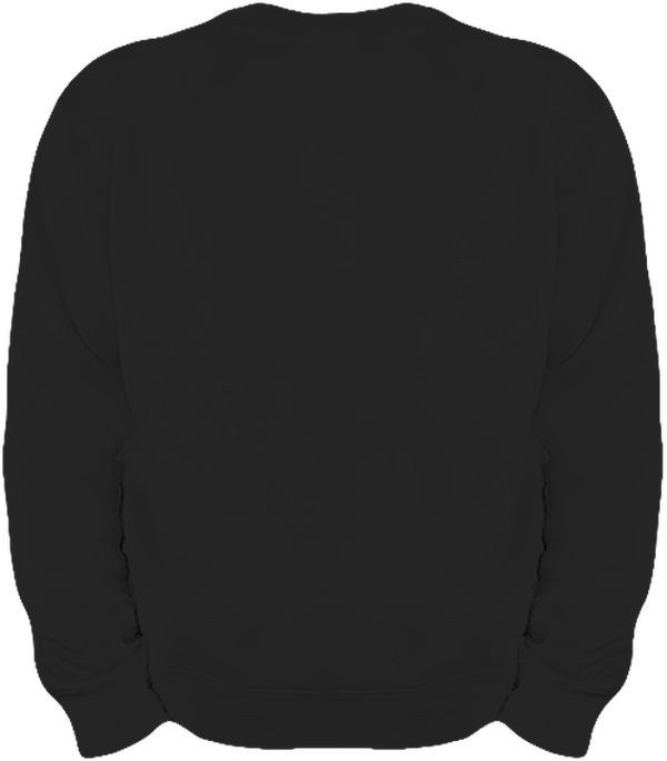 06g sweat lourd homme col rond dos Black