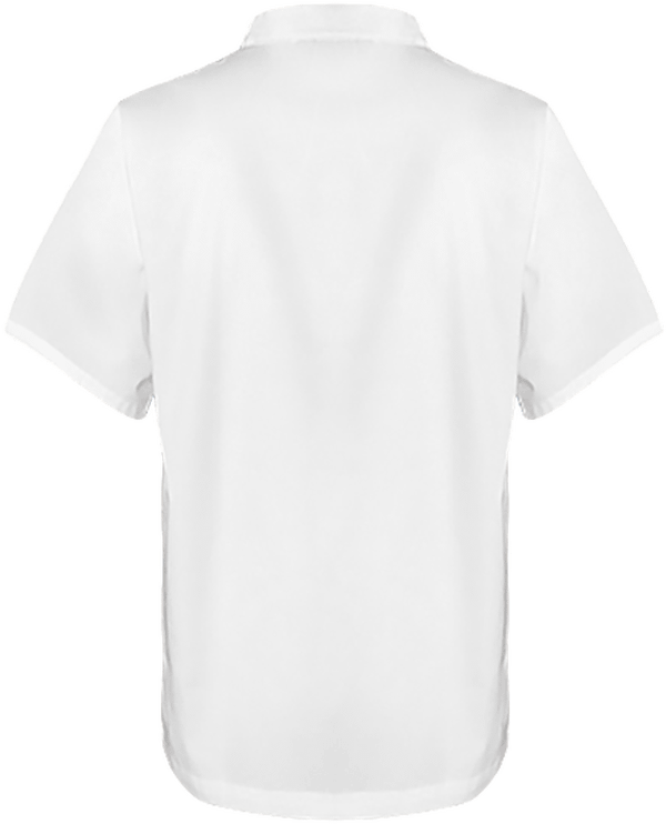 02f10 tunique de chef manches courtes dos White