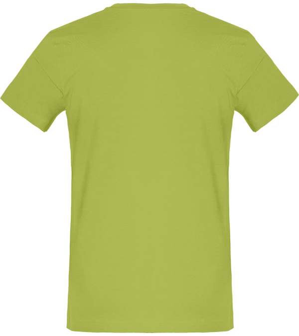 T shirt homme 150g dos Pistachio