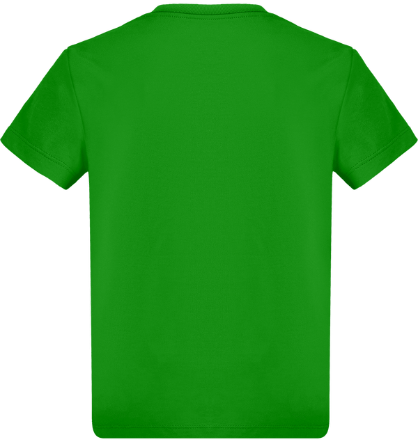 Tee shirt garcon stanley mini paint dos Fresh Green