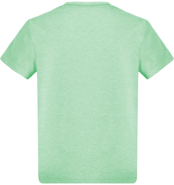 Tee shirt garcon stanley mini paint dos Mid Heather Green