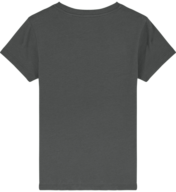 Tee shirt enfant bio stanley mini creator dos Anthracite
