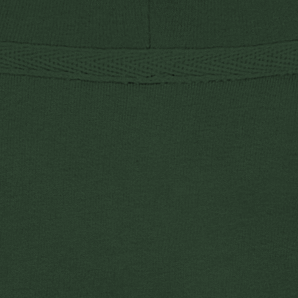 Sweat shirt ecoresponsable a capuche homme col Forest Green