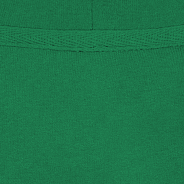 Sweat shirt ecoresponsable a capuche homme col Kelly Green