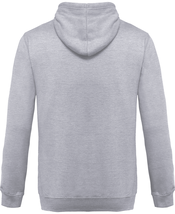 Sweat shirt a capuche homme dos Ash Heather