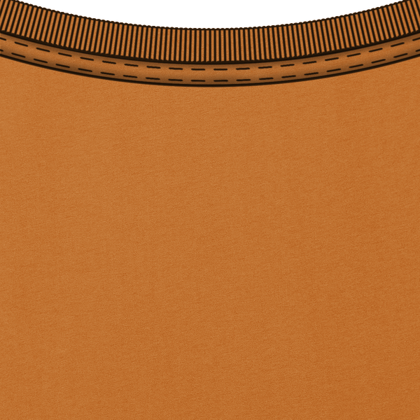 Tee shirt unisexe bio stanley creator col interieur Day Fall