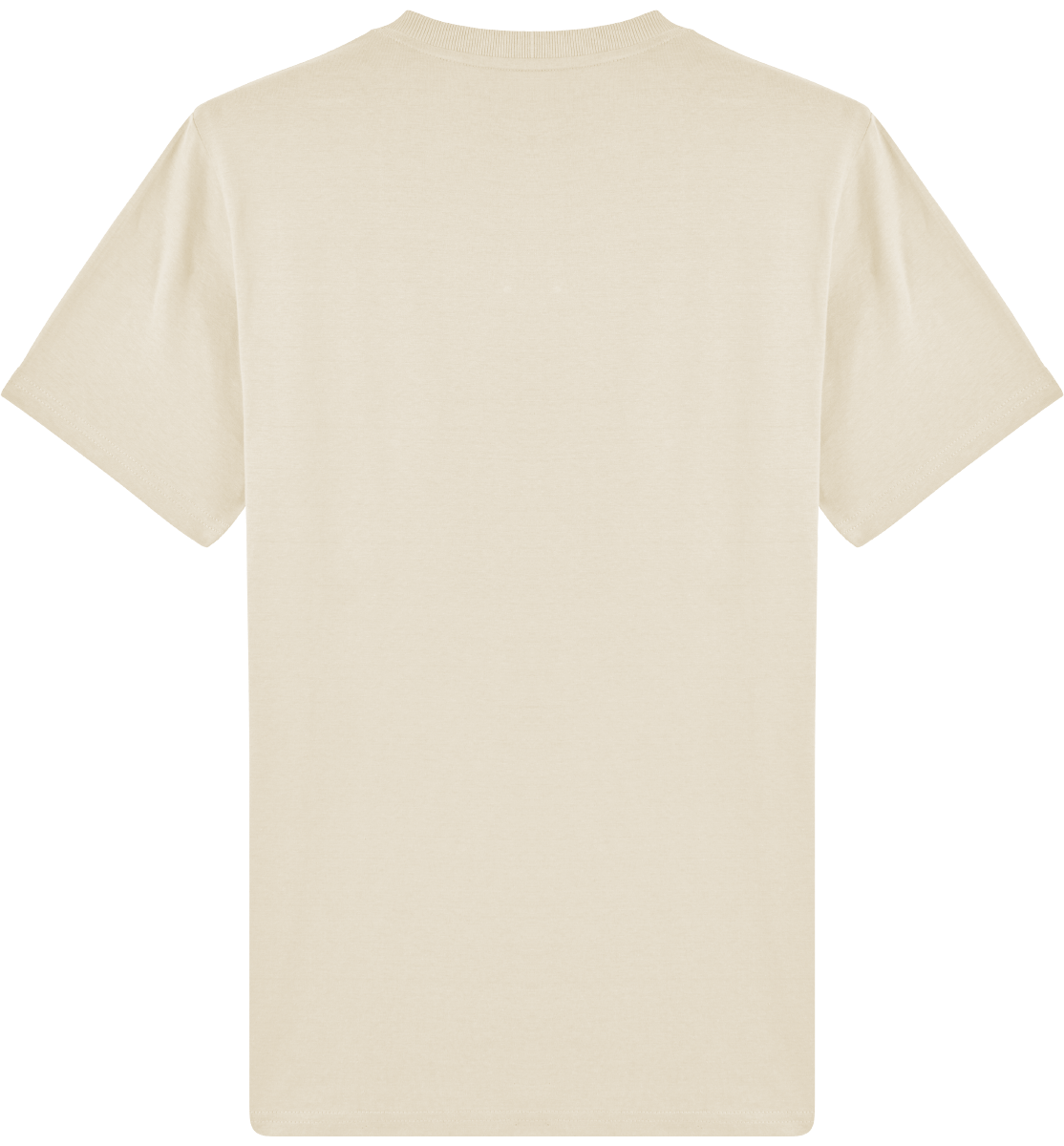 Tee shirt epais homme bio stanley sparker dos Natural Raw