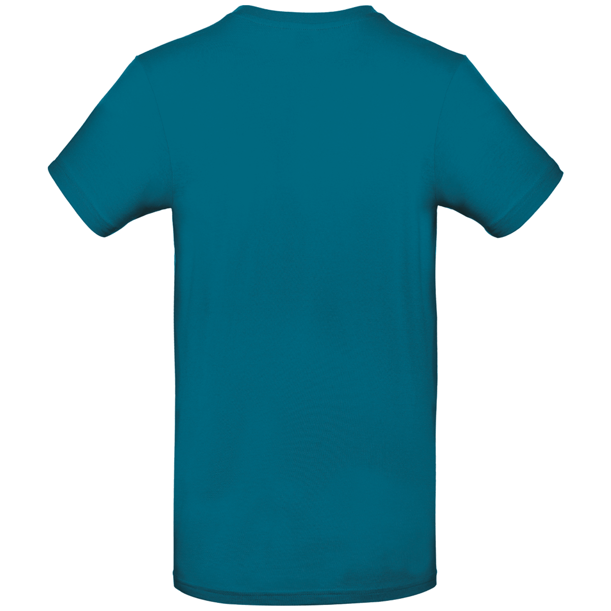 Tee shirt homme manches courtes 190 gr dos Diva Blue