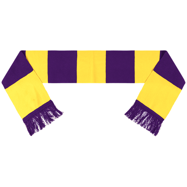 Echarpes Bicolore Team Purple / Yellow