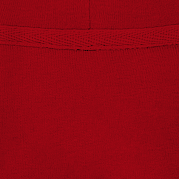 Sweat shirt a capuche unisexe cruiser 2 0 col interieur Red