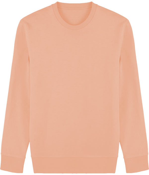 Sweatshirt col rond unisexe changer 2 0 plexus Fraiche Peche