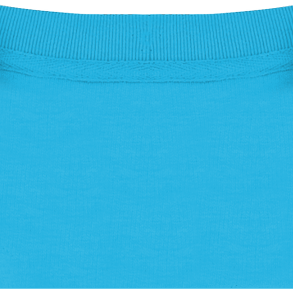 Sweatshirt col rond unisexe changer 2 0 col interieur Aqua Blue