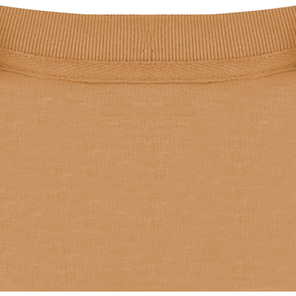 Sweatshirt col rond unisexe changer 2 0 col interieur Latte