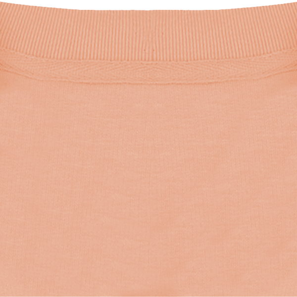 Sweatshirt col rond unisexe changer 2 0 col interieur Fraiche Peche