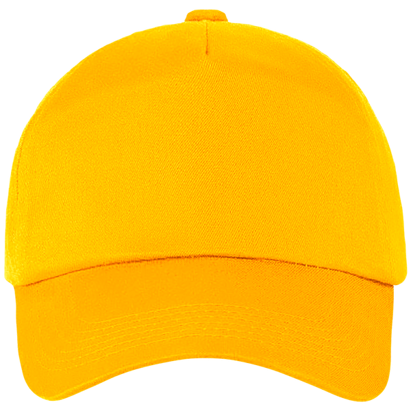 Customizable Fashion Cap In Embroidery And Printing Gold