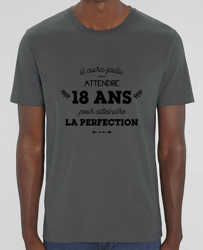 T-Shirt 18 ans perfection - Anniversaire par tunetoo