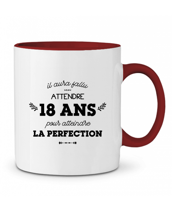 Mug bicolore 18 ans perfection - Anniversaire tunetoo