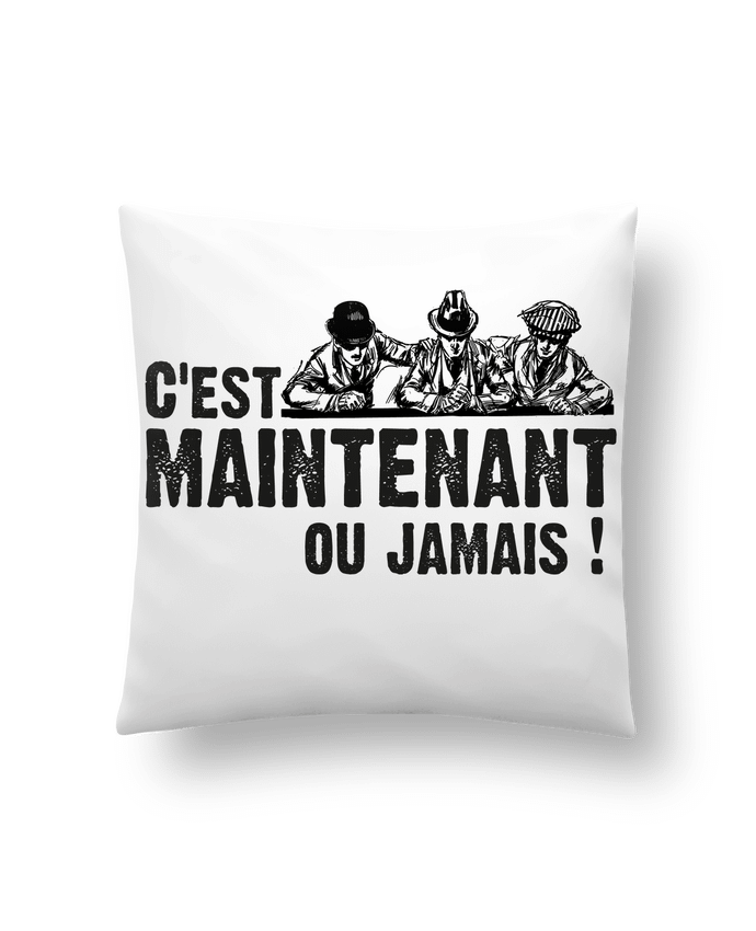 Coussin C'EST MAINTENANT OU JAMAIS ! par berth99