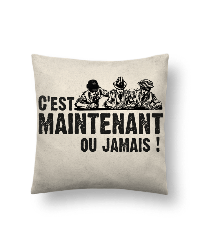 Coussin suédine C'EST MAINTENANT OU JAMAIS ! par berth99